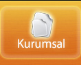 Kurumsal
