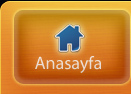 Anasayfa