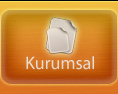 Kurumsal